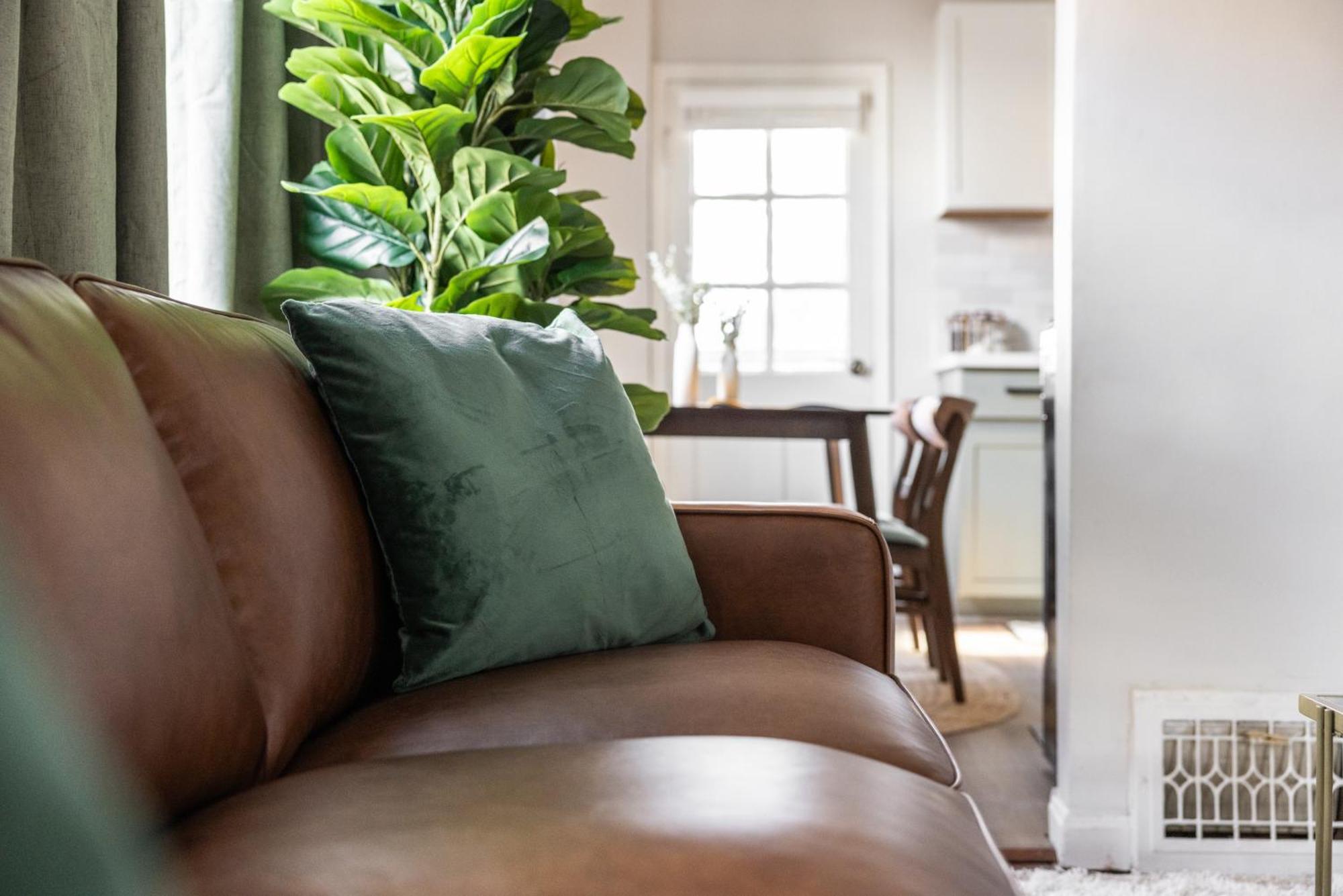شقة Mid-Century Modern Retreat In Little Italy كليفلاند المظهر الخارجي الصورة